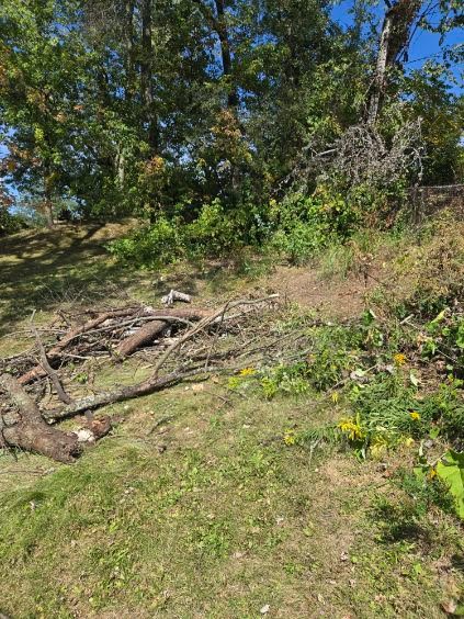 Emergency site work and cleanup